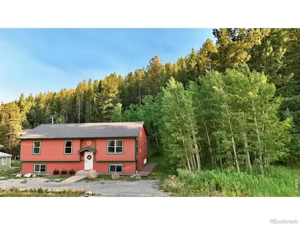 788 W 4th Street, Nederland, CO 80466