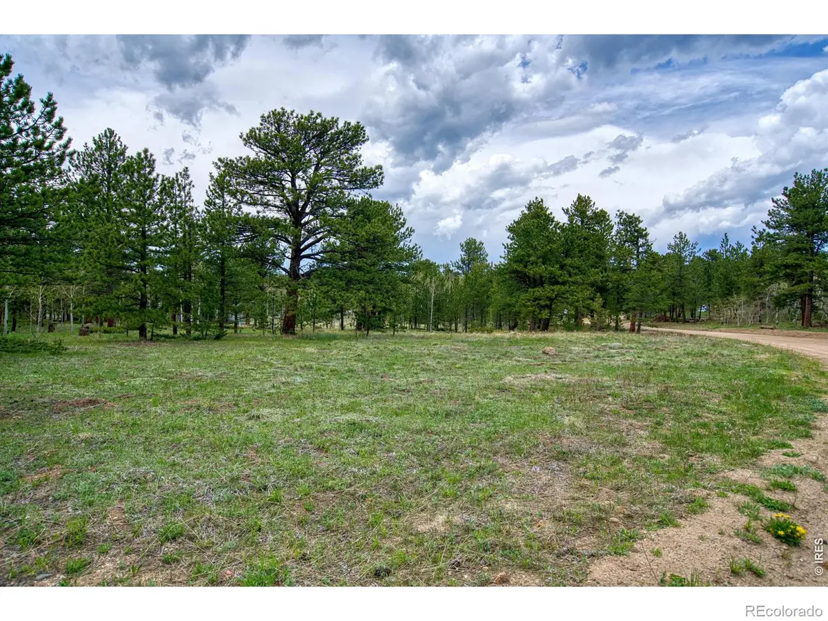 73 Sparn Way, Ward, CO 80481 - #1
