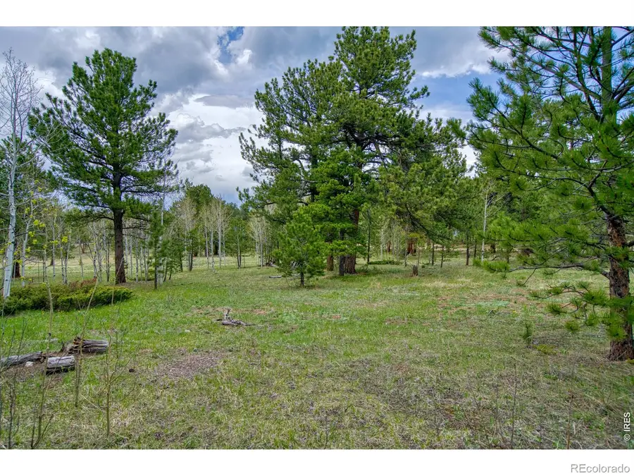 73 Sparn Way, Ward, CO 80481 - #2