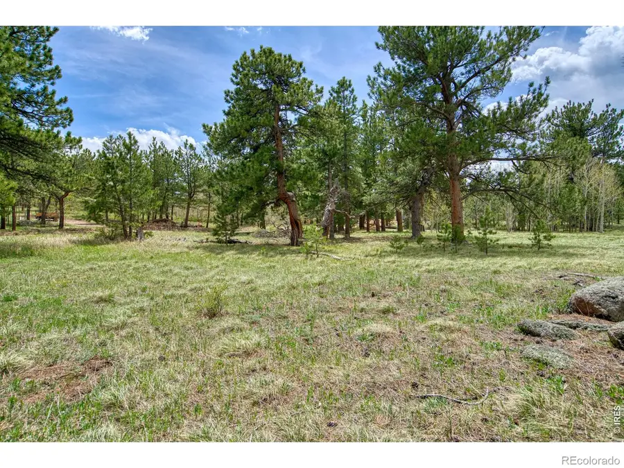 73 Sparn Way, Ward, CO 80481 - #3