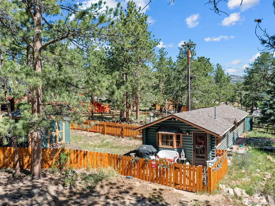 1099 Lexington Lane, Estes Park, CO 80517 - #3