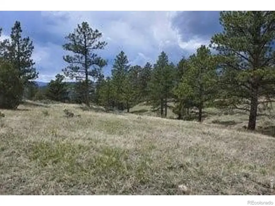 94 Culebra Peak Court, Livermore, CO 80536 - #3