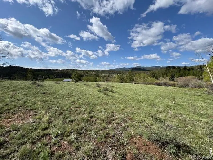 137 Cimarron Road, Red Feather Lakes, CO 80545 - #3