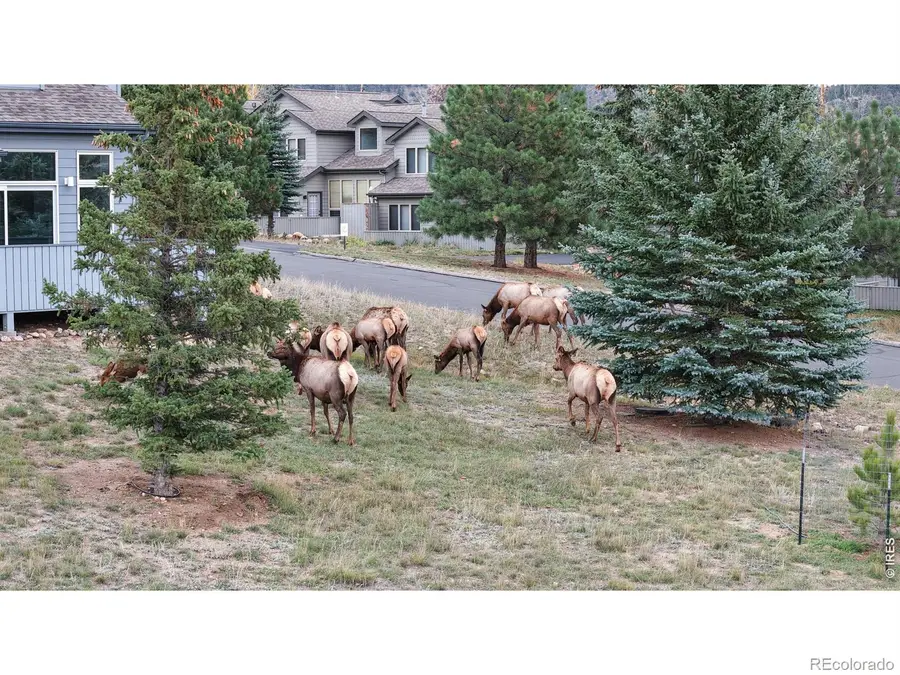 1555 Raven Circle, Estes Park, CO 80517 - #2