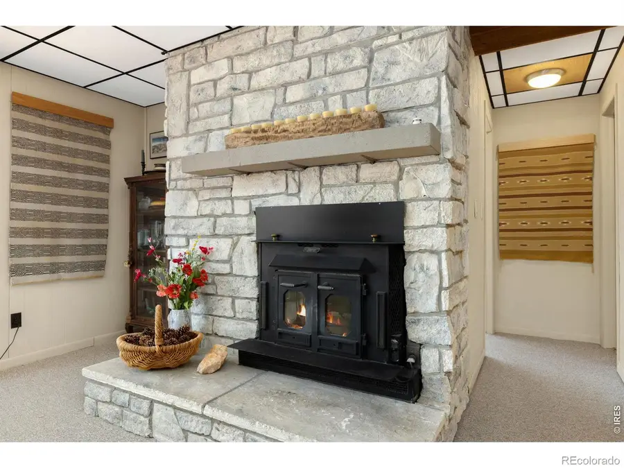 1511 Prospect Mountain Drive, Estes Park, CO 80517 - #3
