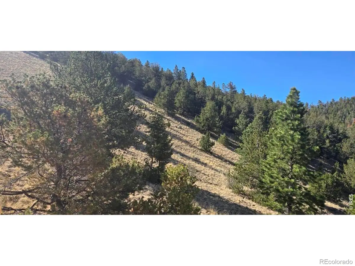 0 County Road 41g, Center, CO 81125 - #1