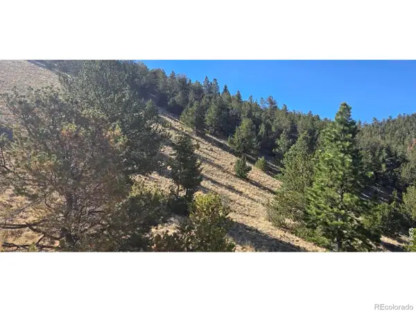 0 County Road 41g, Center, CO 81125
