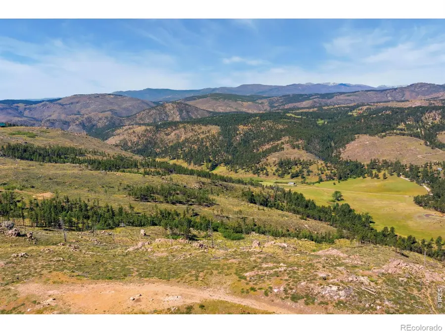 1351 Walking Wind Drive, Bellvue, CO 80512 - #3
