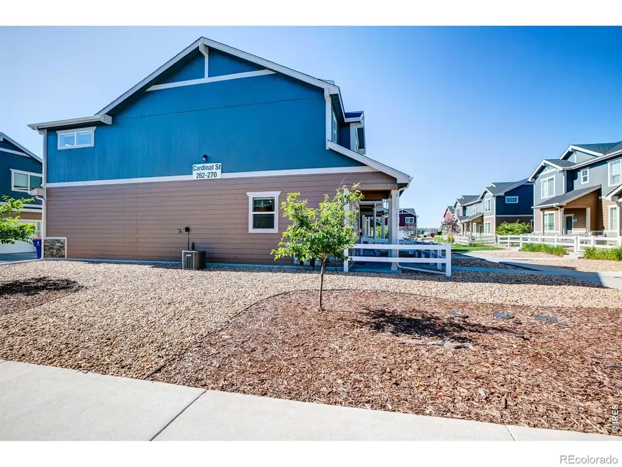 262 Cardinal Street, Johnstown, CO 80534 - #3