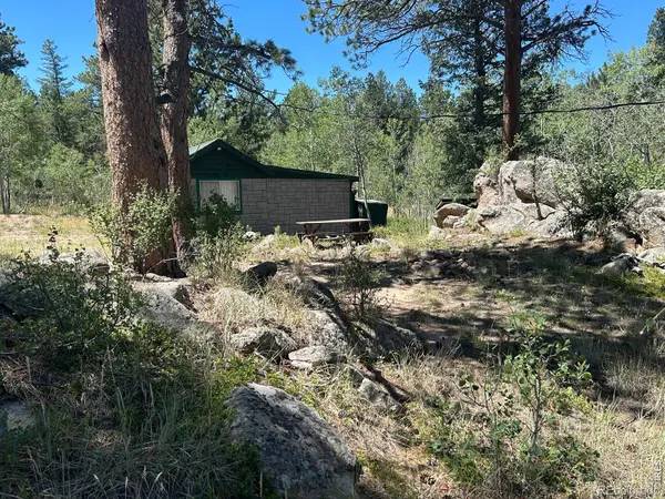 745 Nokomis Road, Red Feather Lakes, CO 80545