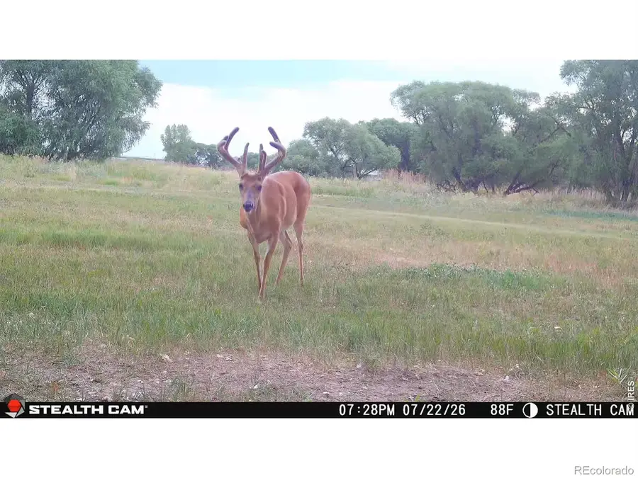 0 County Road 388, Kersey, CO 80644 - #2