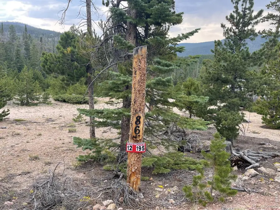 86 Natchez Circle, Red Feather Lakes, CO 80545 - #2