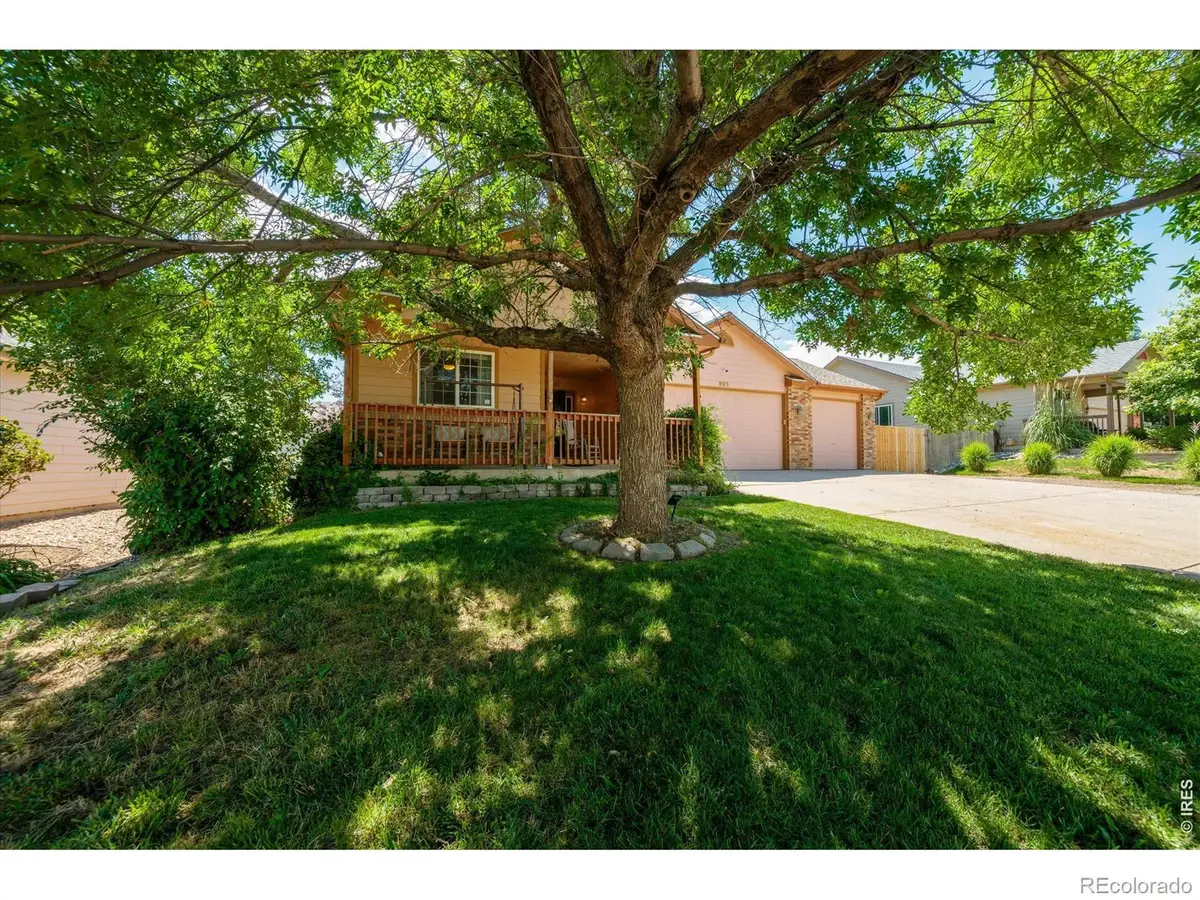 905 Scotch Pine Drive, Severance, CO 80550 - #1
