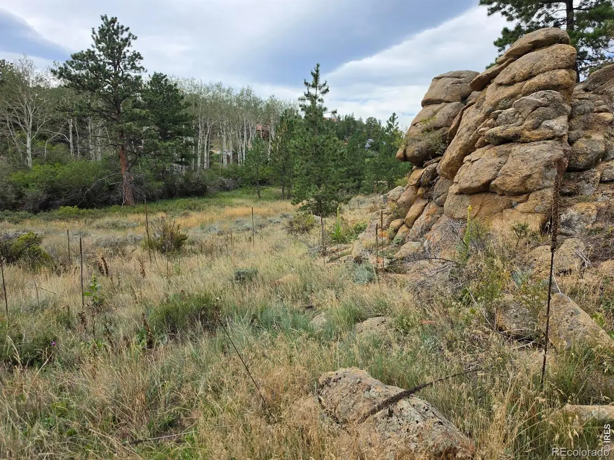 0 Lone Pine Court, Red Feather Lakes, CO 80545 - #1