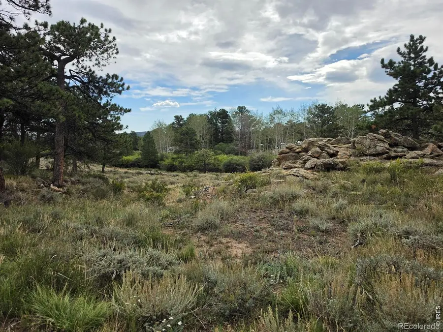 0 Lone Pine Court, Red Feather Lakes, CO 80545 - #3