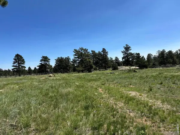 62 White Slide Mountain Court, Livermore, CO 80536