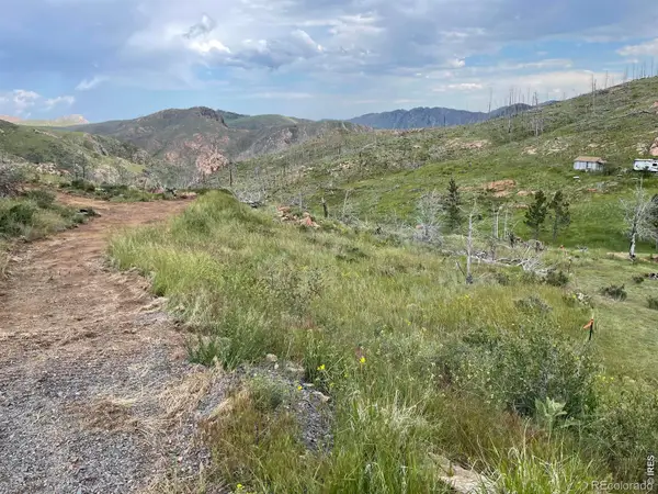 1400 Meadow Mountain Drive, Livermore, CO 80536