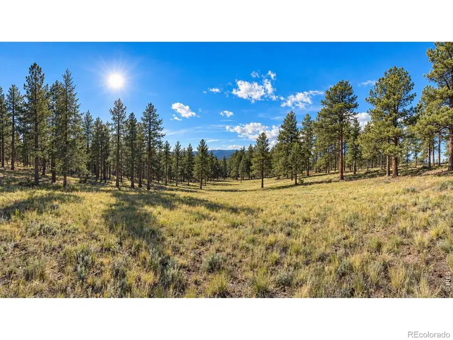 18677 State Highway 7, Lyons, CO 80540 - #3