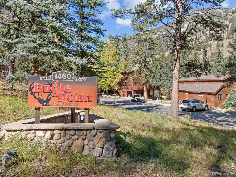 1480 David, Estes Park, CO 80517 - #2