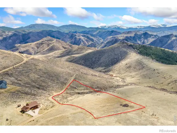 170 Little Bald Mountain, Livermore, CO 80536
