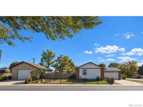 542 Palmer, Mead, CO 80542