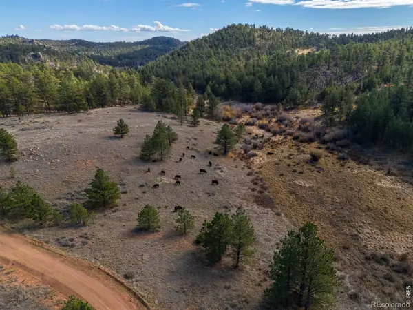8 Spring, Livermore, CO 80536