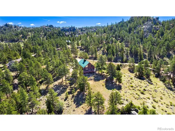 313 Castle Mountain, Livermore, CO 80536
