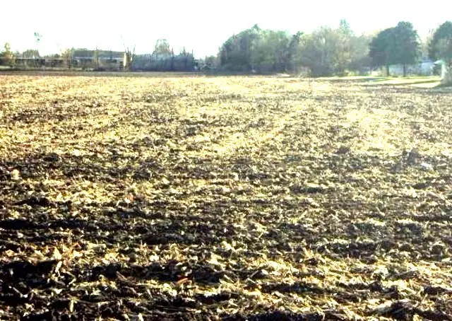 1644 E Grove Avenue, Rantoul, IL 61866 - Image #3