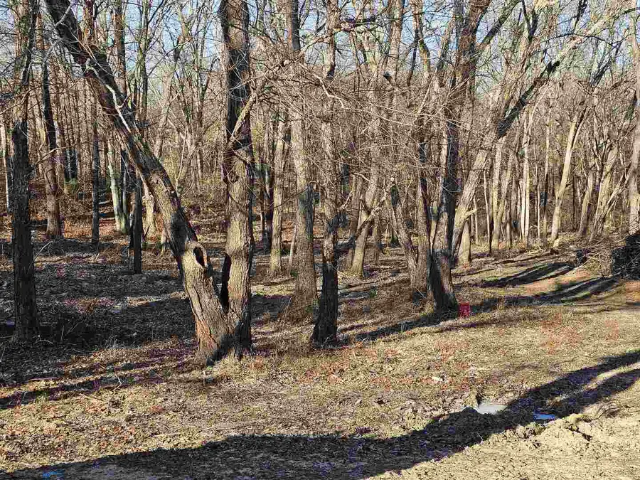 19549 N Moonbeam Lane, Mount Vernon, IL 62864 - Image #3