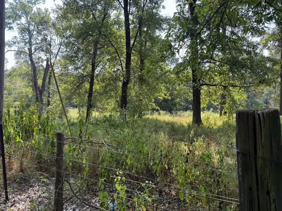 TBD Harris School Road, Johnston City, IL 62951 - #2