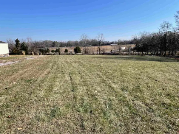 TBD Tulip Lane, Vienna, IL 62960