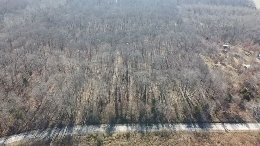 0 E Mozart Road, Woodlawn, IL 62898 - Image #2