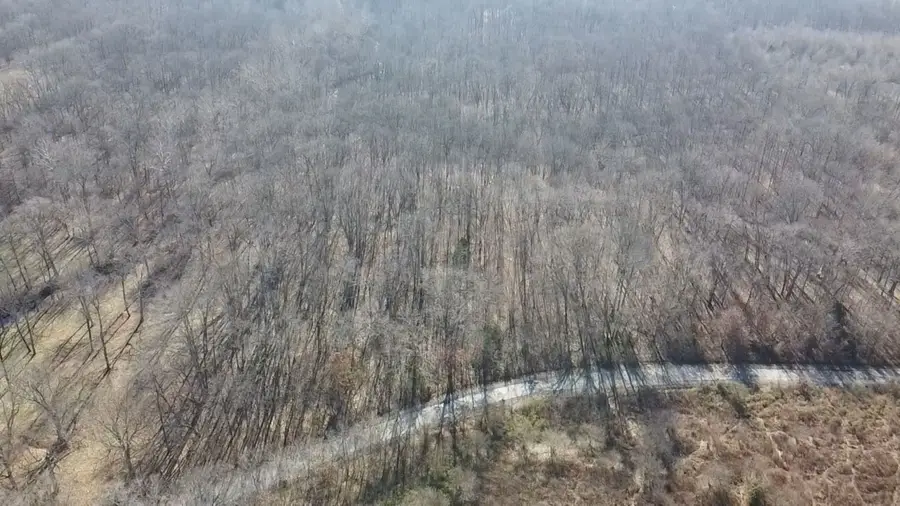 0 E Mozart Road, Woodlawn, IL 62898 - Image #3