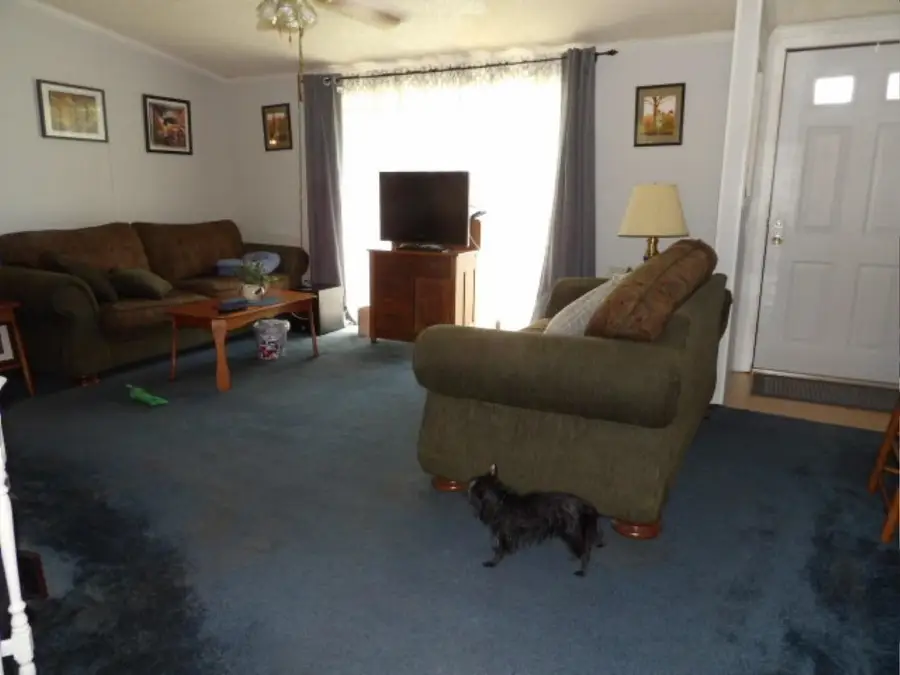 1117 Cannon Lane, Harrisburg, IL 62946 - #3