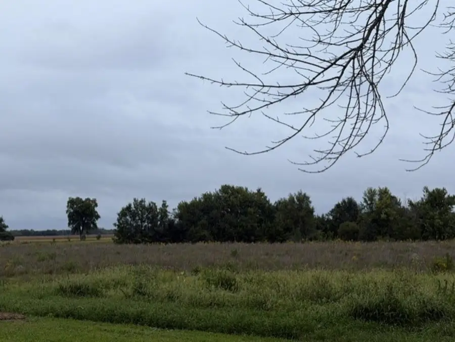 220 N Broad Street, Loraine, IL 62349 - #2