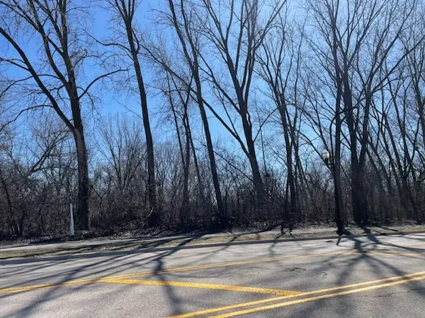 003 South Street, Elgin, IL 60124