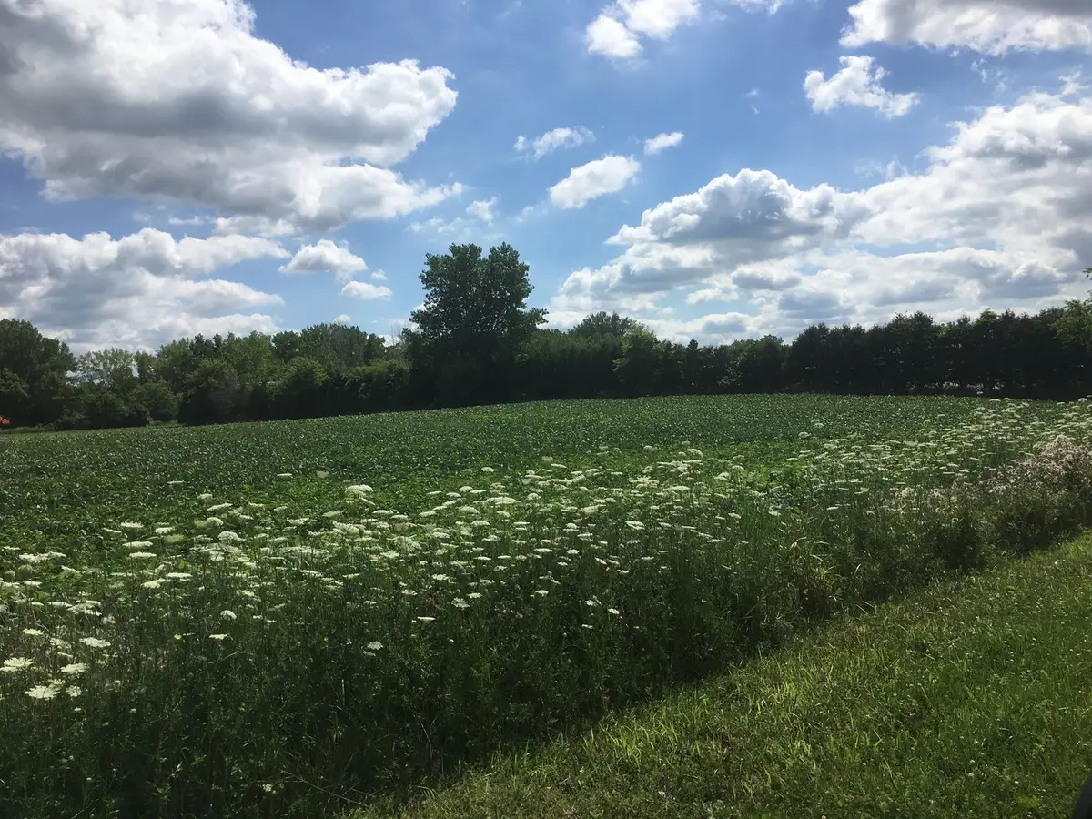 Lot 1A Koppie Road, Gilberts, IL 60136 - Image #1