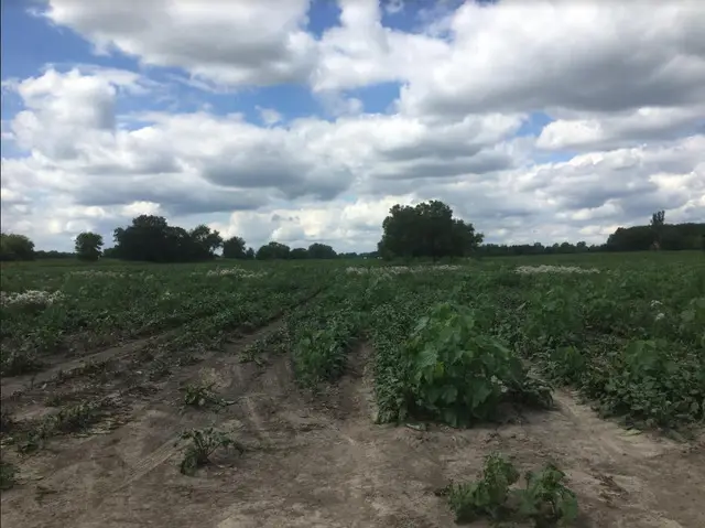 Lot 1A Koppie Road, Gilberts, IL 60136 - Image #3