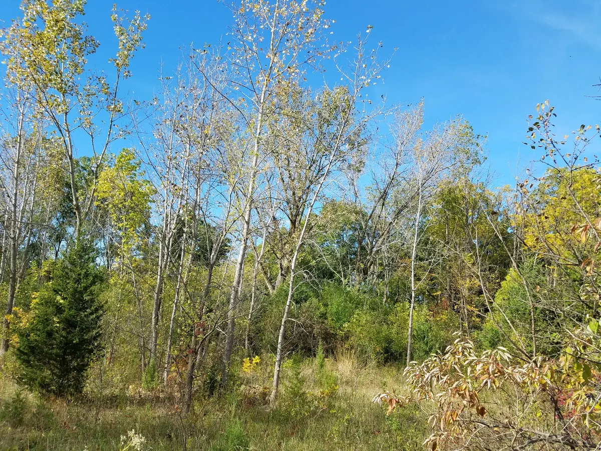 0 N State Street, Lockport, IL 60441 - Image #1