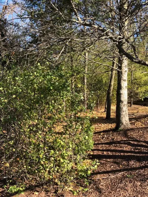 6503 Clarendon Hills Road, Willowbrook, IL 60527 - Image #3