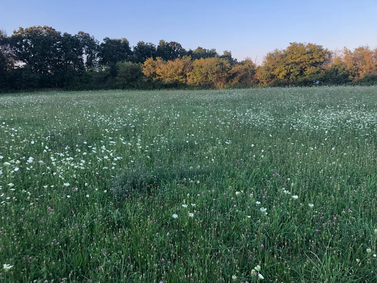 40485 N Belle Foret Drive, Wadsworth, IL 60083 - Image #1