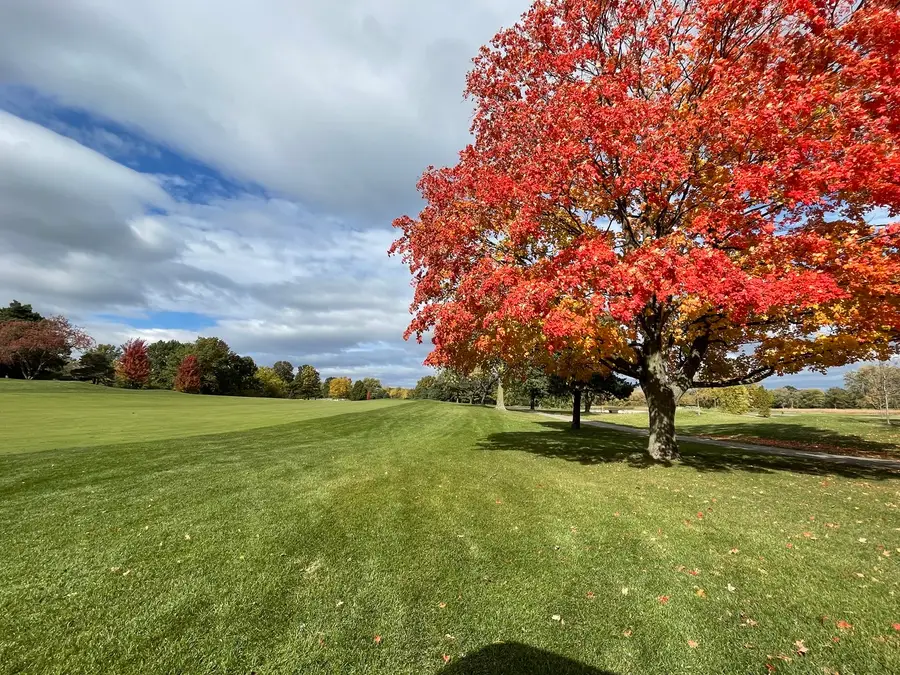 20992 W Preserve Drive, Kildeer, IL 60047 - Image #2