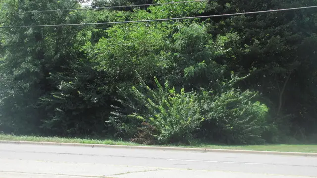 000 Main Street, Lisle, IL 60532 - Image #1