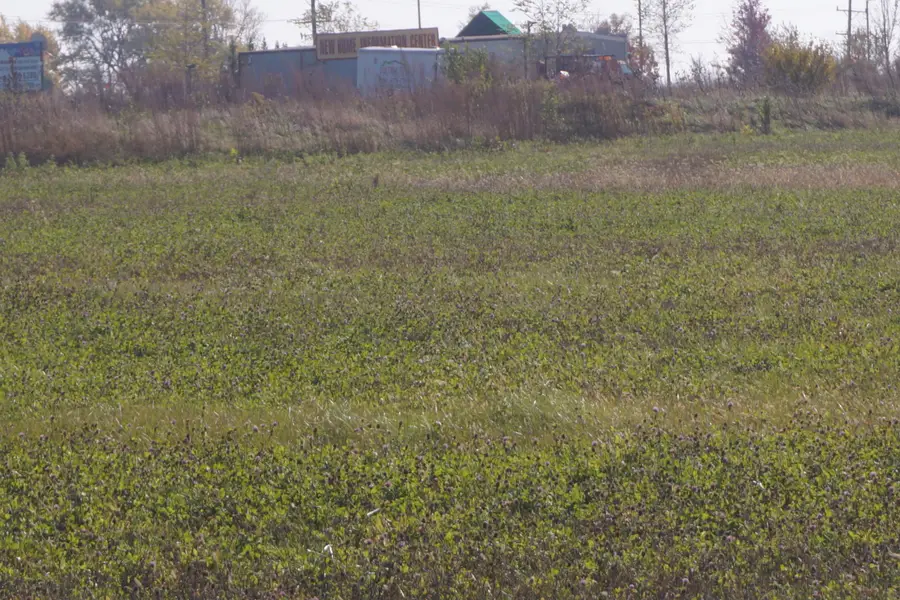 Lot5 S Rt 52 Road, Manhattan, IL 60442 - Image #2