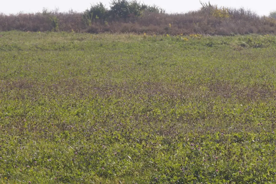 Lot2 S Arabian Avenue, Manhattan, IL 60442 - Image #2