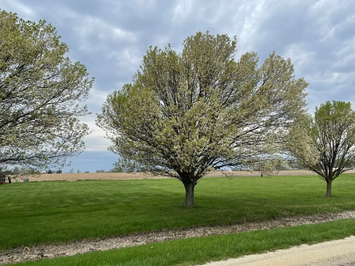 Lot 6 S 16000 W Road, Buckingham, IL 60917 - Image #1