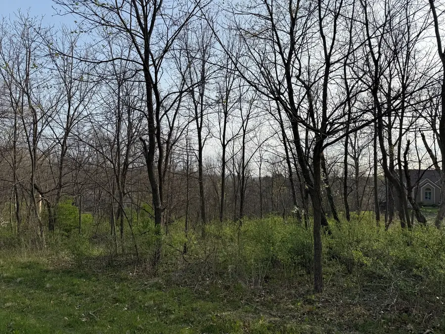 13 Hickory Trail, Galena, IL 61036 - Image #3