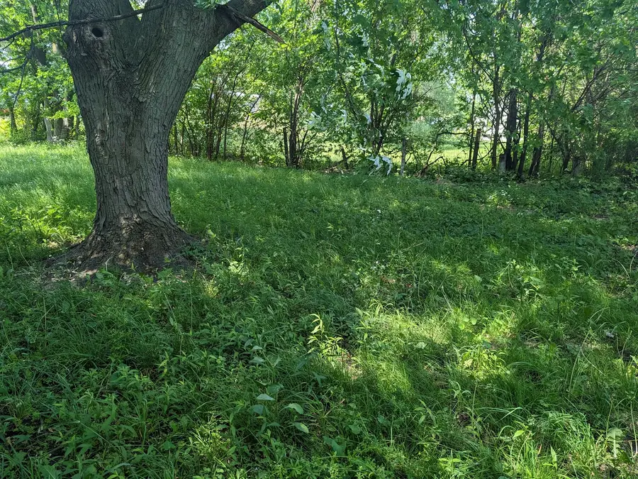 1360 E Sherman Street, Hammond, IN 46320 - Image #2