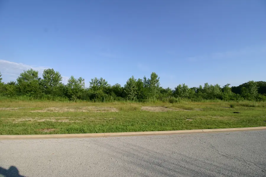 1402 apx W Exchange Street, Crete, IL 60417 - Image #3