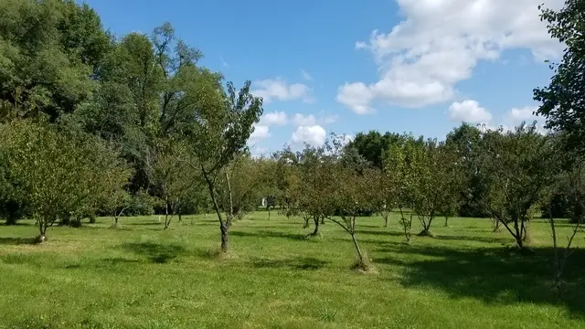 5548 W Heatherbrook Trail, Monee, IL 60449 - Image #1